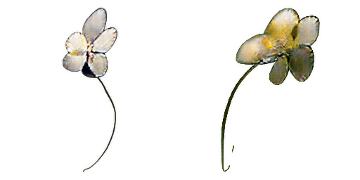 Patrick H. Winston Pix2Pix processed output of flower sketches.